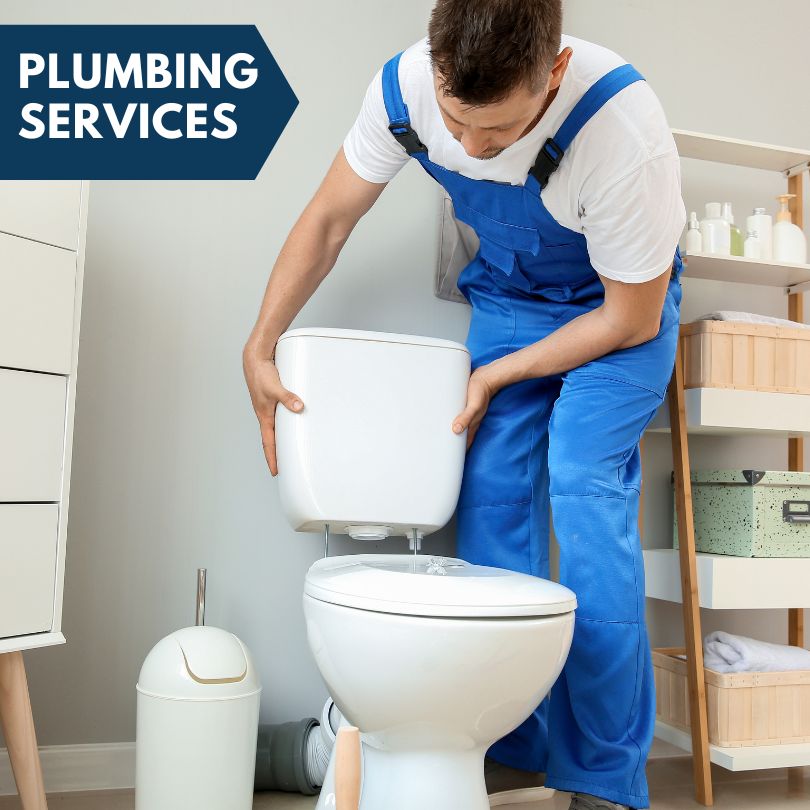 Plumbing Company in Webster, IA